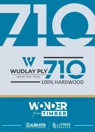 WUDLAY 710 banner 2